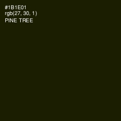 #1B1E01 - Pine Tree Color Image